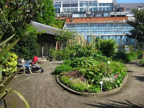 plantentuin den botaniek|Den Botaniek Plantentuin Antwerpen